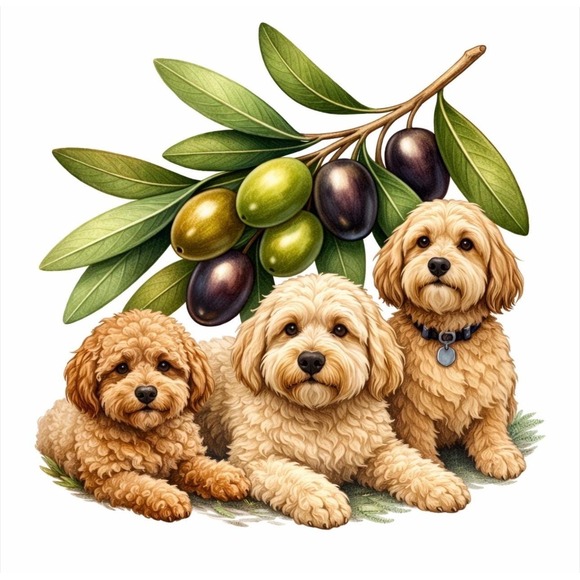 Healing the Planet, One Book at a Time Paperback Book - Picture 4 of 4